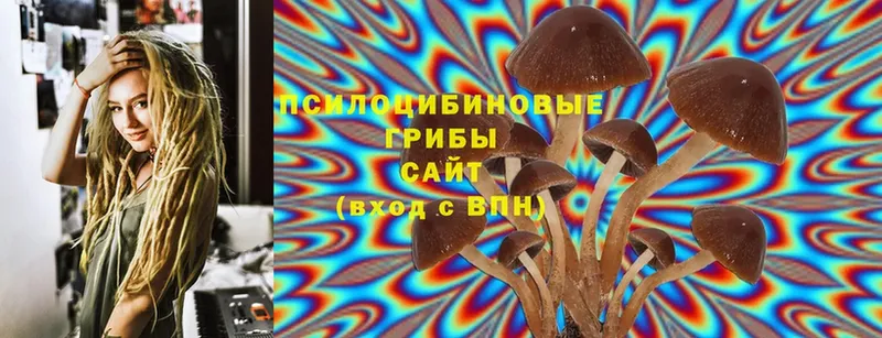 где найти   Кущёвская  Галлюциногенные грибы Magic Shrooms 